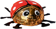 Milk Chocolate Ladybug